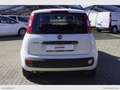 Fiat Panda 1.2 Easy Van 4 posti solo Km 23.000 Bianco - thumbnail 5