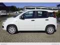 Fiat Panda 1.2 Easy Van 4 posti solo Km 23.000 Bianco - thumbnail 6