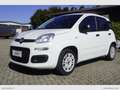 Fiat Panda 1.2 Easy Van 4 posti solo Km 23.000 Bianco - thumbnail 1