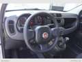 Fiat Panda 1.2 Easy Van 4 posti solo Km 23.000 Bianco - thumbnail 7