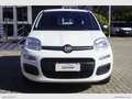 Fiat Panda 1.2 Easy Van 4 posti solo Km 23.000 Bianco - thumbnail 2