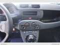 Fiat Panda 1.2 Easy Van 4 posti solo Km 23.000 Bianco - thumbnail 9