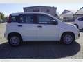 Fiat Panda 1.2 Easy Van 4 posti solo Km 23.000 Bianco - thumbnail 4