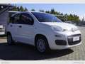 Fiat Panda 1.2 Easy Van 4 posti solo Km 23.000 Bianco - thumbnail 3