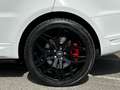 Land Rover Range Rover Sport SDV6 3.0 Hybride Autobiography Dynamic Bianco - thumbnail 5