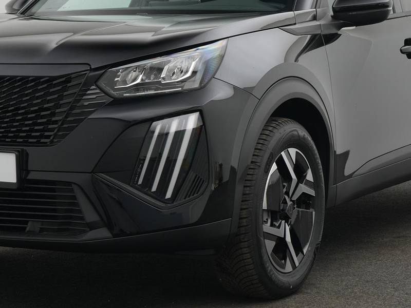 Peugeot 2008 BUSINESS Benzin 100 — photo 10