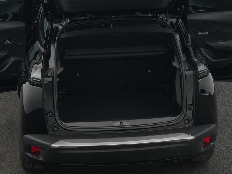 Peugeot 2008 BUSINESS Benzin 100 — photo 8