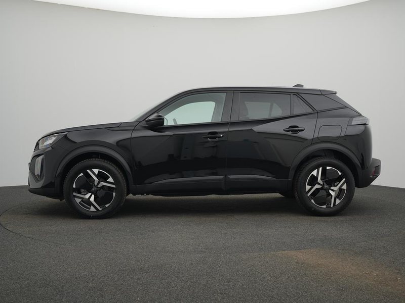 Peugeot 2008 BUSINESS Benzin 100 — photo 6