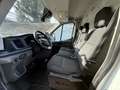 Ford Transit 350 L3H2 Lkw VA Trend 3-Sitzer Blanc - thumbnail 22