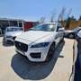 Jaguar F-Pace 2.0i4D R-Sport Aut. RWD 180 Weiß - thumbnail 2