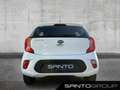 Kia Picanto Picanto 1.2 Edition 7 KLIMA SHZ LKH 4-TÜRER Klima Weiß - thumbnail 5