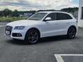 Audi Q5 2.0 TDI 139 KW Quattro Weiß - thumbnail 6