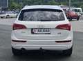 Audi Q5 2.0 TDI 139 KW Quattro Weiß - thumbnail 4