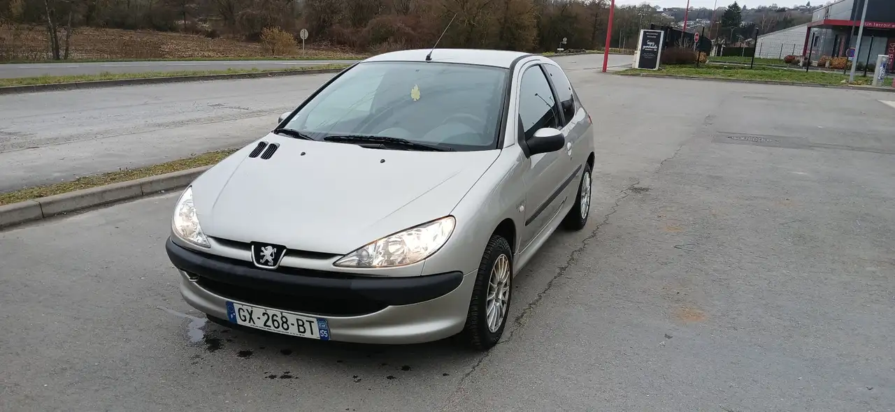 Peugeot 206 1.1i Enfant Terrible