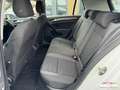 Volkswagen Golf 7 1.6 TDI 115ch BVM CONNECT Caméra Carplay Blanc - thumbnail 14