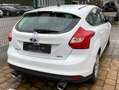 Ford Focus Trend Bianco - thumbnail 5