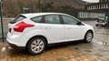 Ford Focus Trend Bianco - thumbnail 6
