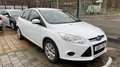 Ford Focus Trend Wit - thumbnail 7