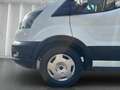 Ford Transit Trend Kasten L3 | AUT | Klimaaut. | GRA | KAMERA | Blanco - thumbnail 22