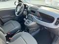Fiat Panda Panda 1.0 FireFly S&S Hybrid Pandina Schwarz - thumbnail 17
