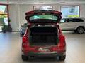 Volkswagen Tiguan Volkswagen Tiguan/AHK/Sport & Style/4Motion/ Rouge - thumbnail 5