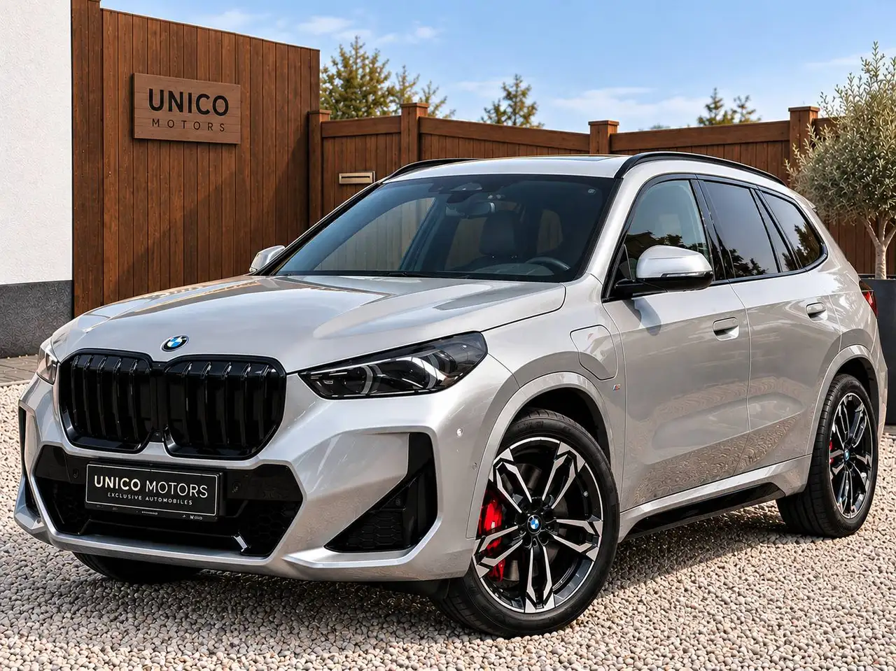 BMW X1