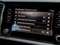 Skoda Kodiaq 2.0 TDI 4x4 Ambition SC AHK+LED+LEDER+RFK Weiß - thumbnail 19