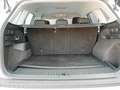Skoda Kodiaq 2.0 TDI 4x4 Ambition SC AHK+LED+LEDER+RFK Weiß - thumbnail 23