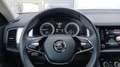 Skoda Kodiaq 2.0 TDI 4x4 Ambition SC AHK+LED+LEDER+RFK Weiß - thumbnail 13