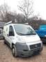 Fiat Ducato L1 - thumbnail 2