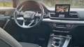 Audi Q5 Q5 2.0 TDI 190CV QUATTRO STRONIC SLINE - thumbnail 11