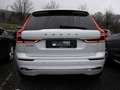 Volvo XC60 T6 Inscription Recharge Plug-In Hybrid AWD Weiß - thumbnail 4