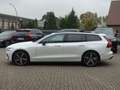 Volvo V60 Ultra T8 AWD Plug-in Hybrid/B&W/360°Cam/BLIS Weiß - thumbnail 5