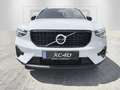 Volvo XC40 B3 FWD Plus Dark 19" ACC BLIS CAM H/K LED Azul - thumbnail 8