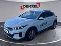 Kia XCeed /SILBER/1.0 TGD Weiß - thumbnail 1