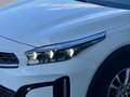 Kia XCeed /SILBER/1.0 TGD Weiß - thumbnail 7