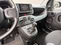 Fiat Panda Panda 1.0 firefly hybrid s Gris - thumbnail 10