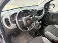 Fiat Panda Panda 1.0 firefly hybrid s Gris - thumbnail 6