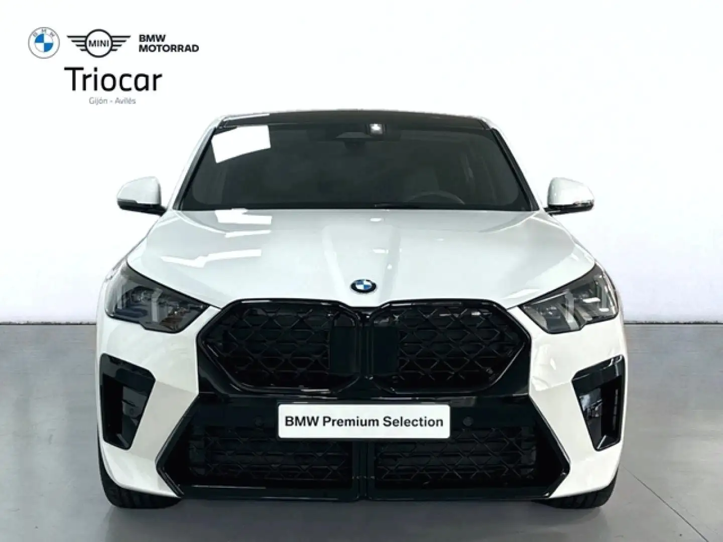 BMW X2 sDrive 18dA Blanco - 2