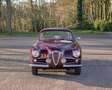 Alfa Romeo 1900 C Super Sprint Touring Rouge - thumbnail 7