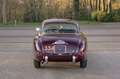 Alfa Romeo 1900 C Super Sprint Touring Rouge - thumbnail 12