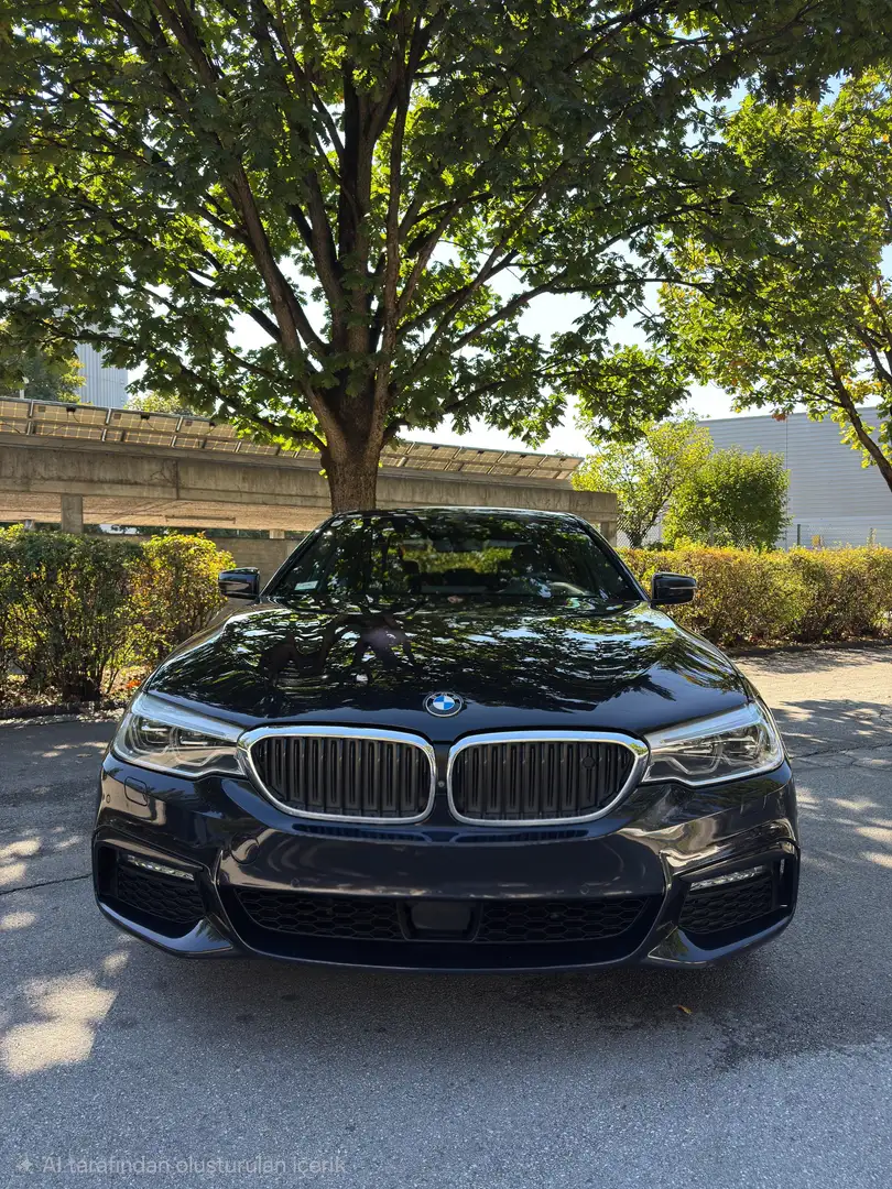 BMW 530 530d xDrive Aut. - 2