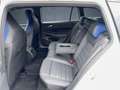 Volkswagen Golf Variant Golf R Variant Performance AHK/Matrix/Leder/h&k/ Weiß - thumbnail 14