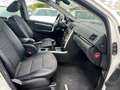 Mercedes-Benz B 180 CDI Premium Blanc - thumbnail 10