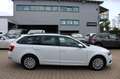 Skoda Octavia 1.6 TDI DSG Combi Navi,SHZ,Standheizung Weiß - thumbnail 8