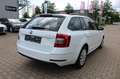 Skoda Octavia 1.6 TDI DSG Combi Navi,SHZ,Standheizung Weiß - thumbnail 3