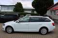 Skoda Octavia 1.6 TDI DSG Combi Navi,SHZ,Standheizung Weiß - thumbnail 7