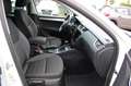 Skoda Octavia 1.6 TDI DSG Combi Navi,SHZ,Standheizung Weiß - thumbnail 9