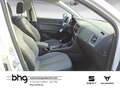 SEAT Ateca 2.0 TDI Style Business Navi connect AHK LE Weiß - thumbnail 8