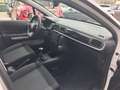 Citroen C3 C3 1.5 bluehdi 102 C.V. FARI FULL LED ITALIANA Bianco - thumbnail 10